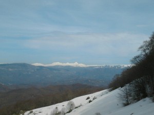 Cresta Cervia