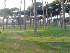 villa pamphili