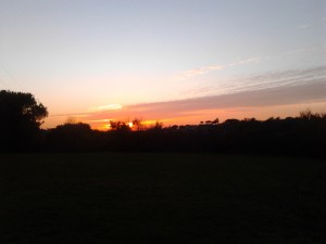 2013-11-30 16.38.59