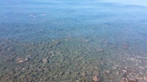 mare